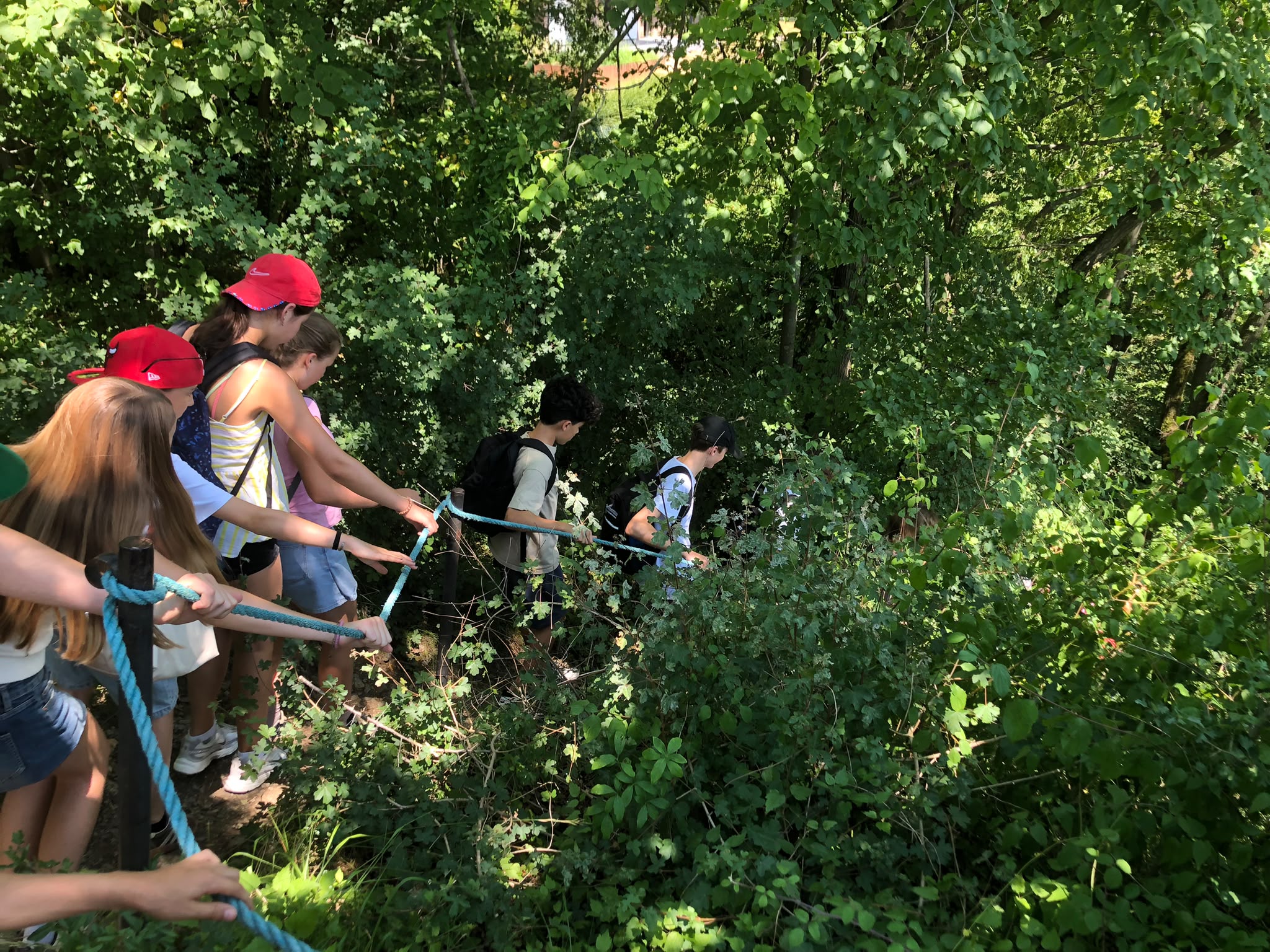 WhatsApp Image 2026-07-09 at 20.50.56
